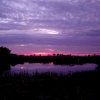 normal_DSC02590