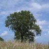 normal_DSC02654